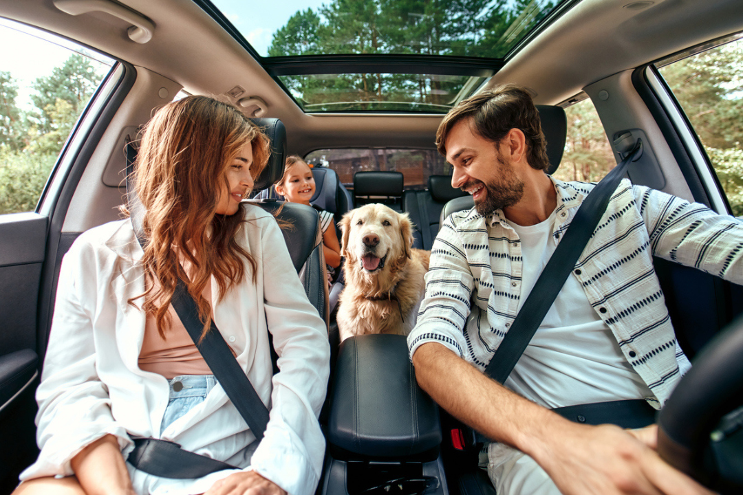 Protect Your Finances When Traveling